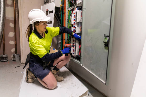 Best Electrical Upgrades for Homes  in Lanse, MI